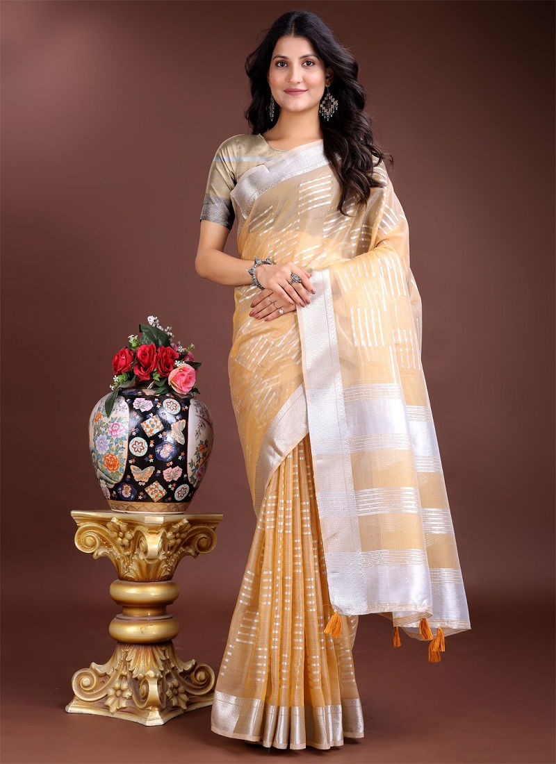 Venice By Astita Organza Wholesale Saree Suppliers In Mumbai